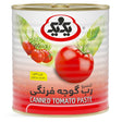 1&1 Tomato Paste Tin (800G) x 12 - Aytac Foods Wholesale