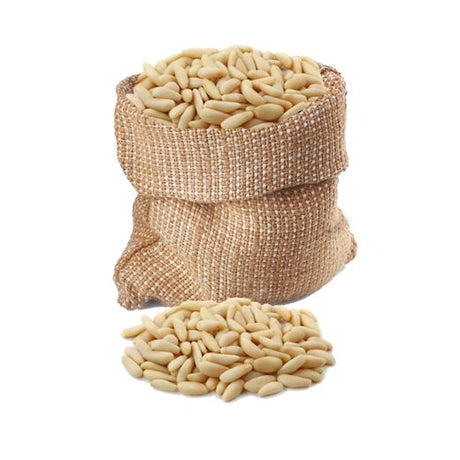 Big Nut Box - Pine Nuts [*Bulk] (25XKG) - Aytac Foods Wholesale