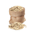 Big Nut Box Roasted Pumpkin Seeds – Bulk 17 x 1kg - Aytac Foods Wholesale