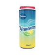 Salaam Yemonade + 330Ml Can (24X24x330ML) - Aytac Foods Wholesale
