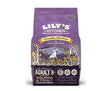 Lily's Kitchen Adult 8+ Salmon & Trout For Dogs 1KG